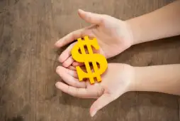 Empréstimo com restrição